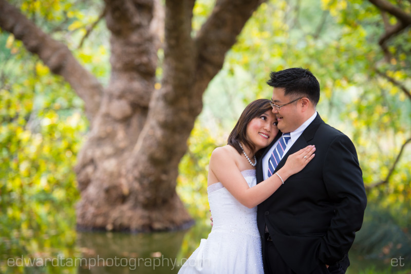 Au Family 10 Year Wedding Anniversary Portrait